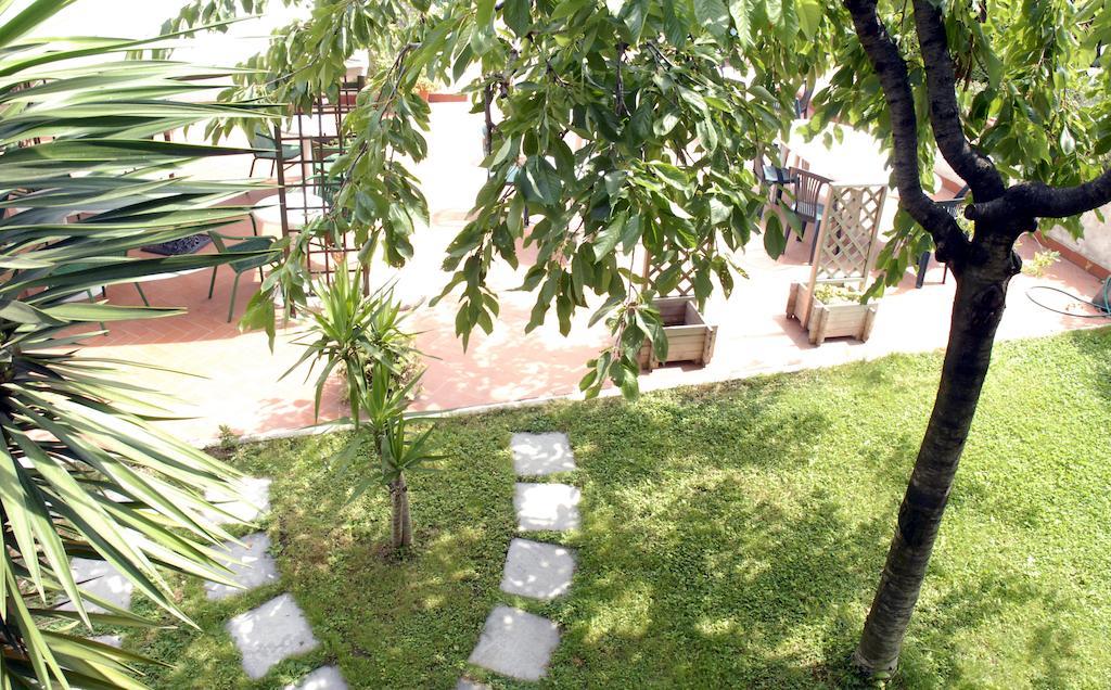 Aurora Garden